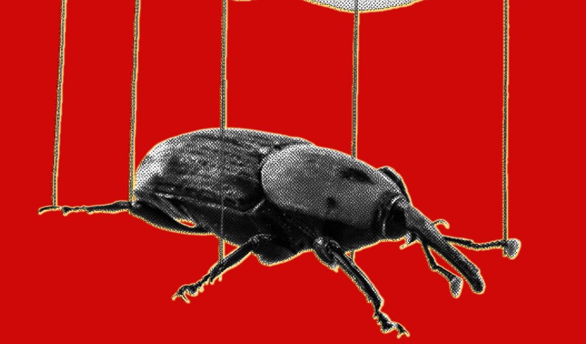 The PHP Meltdown Shows How AI Makes Bugs More Exploitable