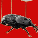 The PHP Meltdown Shows How AI Makes Bugs More Exploitable